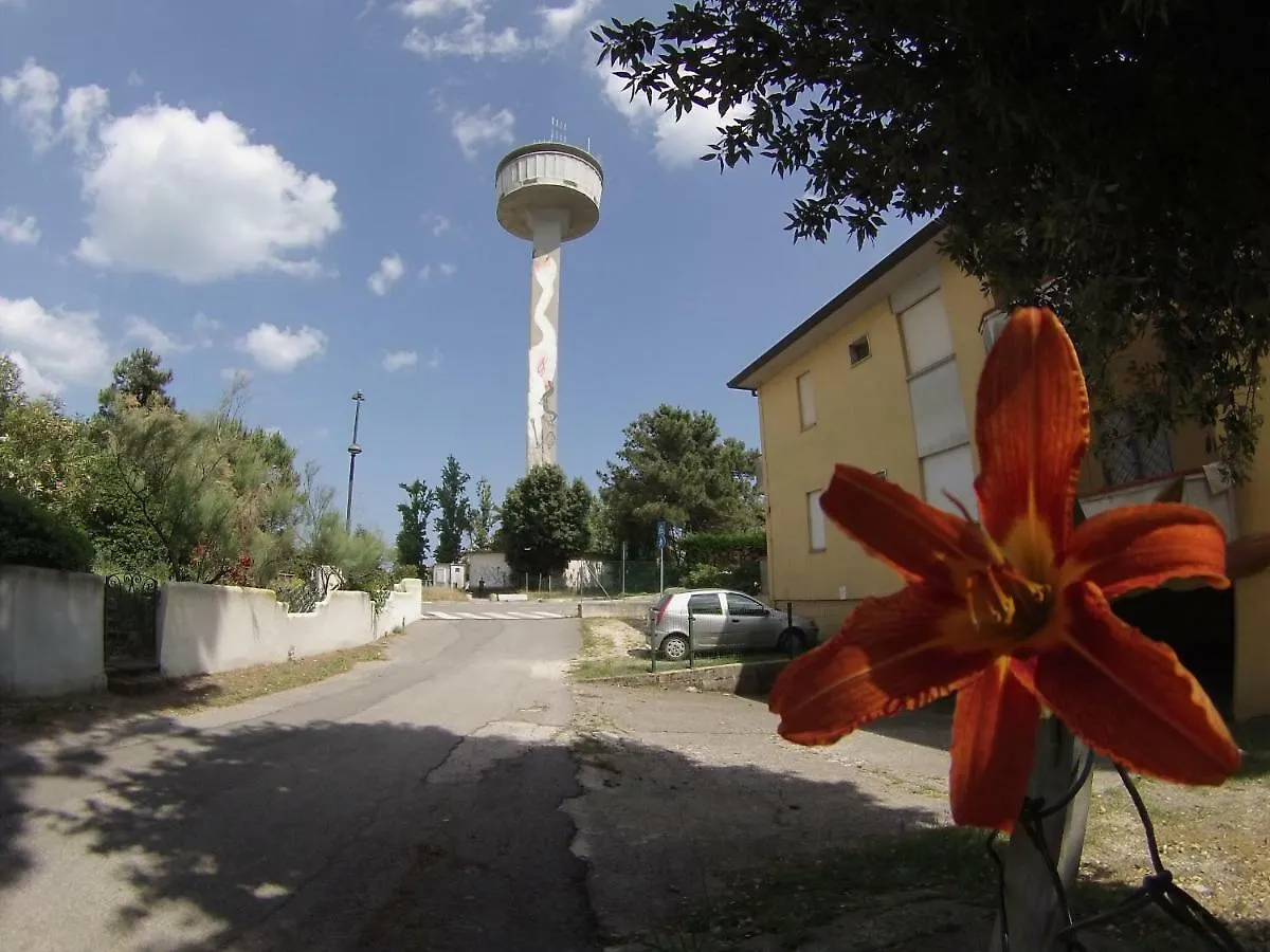 Apartmán Delfino Est Rosapineta
